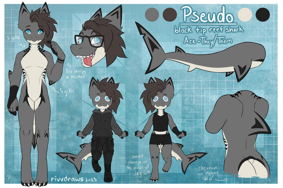 Basic Ref | option 2 +