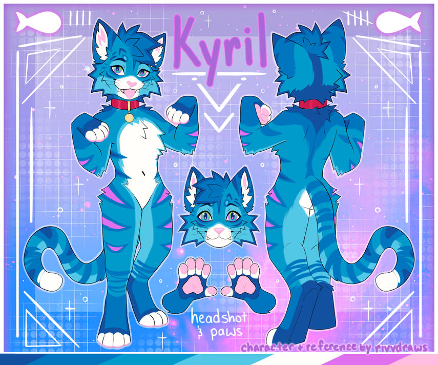 Basic Custom | opt 1 + Full back